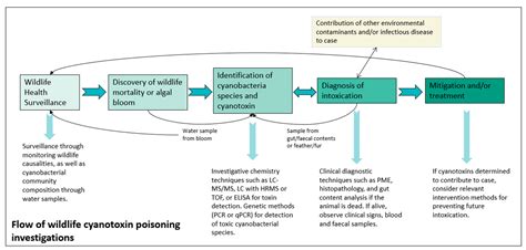 Reporting of Freshwater Cyanobacterial Poisoning in Terrestrial ...