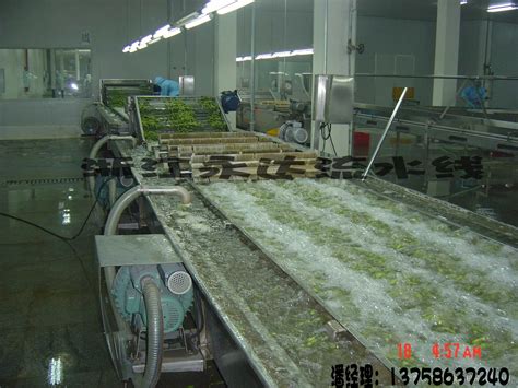 浙江永达流水线、大棚、冷库蔬菜零食自动化分拣传输生产线-阿里巴巴
