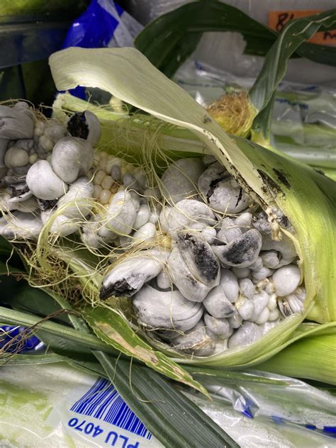 Corn fungi! : r/Chefit