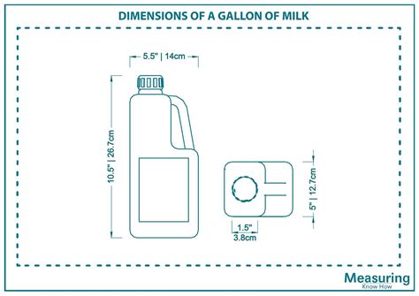 What Are the Dimensions of A Gallon of Milk? – Measuringknowhow