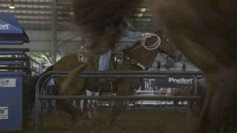 Image result for Patsy Shipley