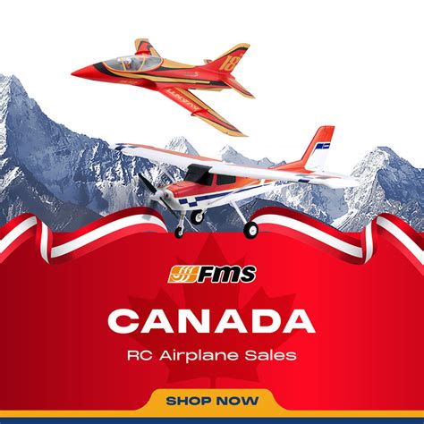 Image result for FMS Model Planes
