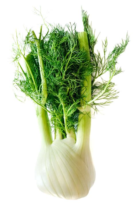 Caramelized Fennel Recipe - Mediterranean Taste