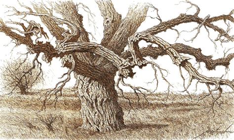 Sketching Tree Limbs 的图像结果