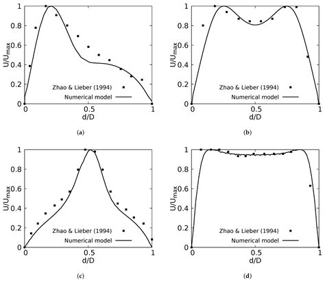 Influence of Morphological Parameters on the Flow Development within ...