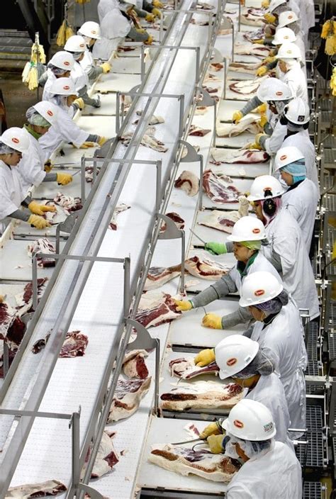 Image result for Field Beef Processing