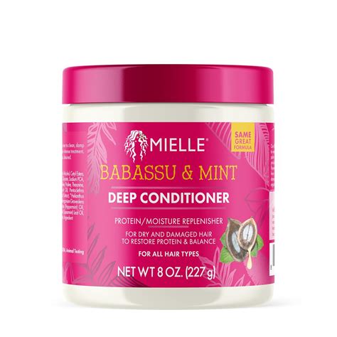 Buy Babassu Oil And Mint Deep Conditioner Online at Low Prices in India ...