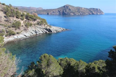 THE BEST Roses Snorkelling Resorts 2025 (with Prices)