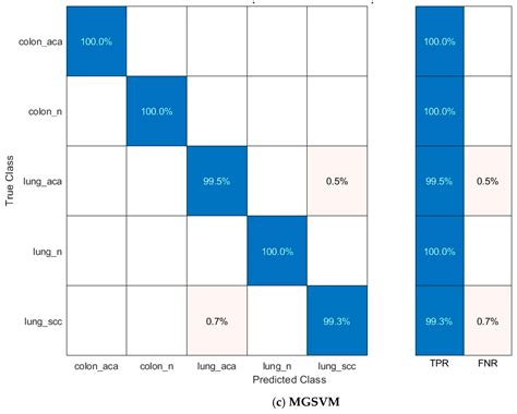 Lung and Colon Cancer Classification Using Multiscale Deep Features ...