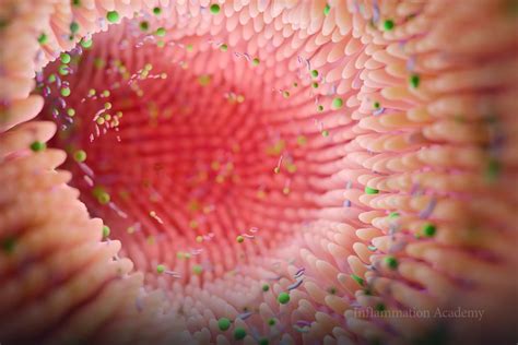 Celiac Disease Self-Care: Essential Tips & Guide