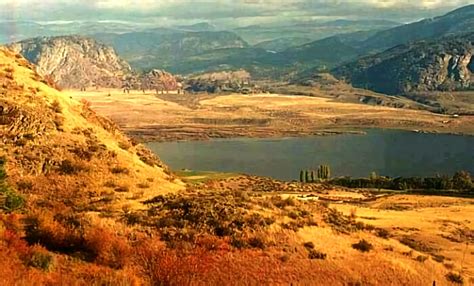 Desert Plants: Names and Adaptations (with Pictures)