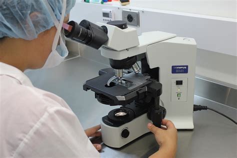 Image result for Microscope Calibration Procedure