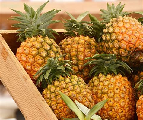 Benefits of Pineapple: Digestive Enzymes and Probiotics Abound - AskMeAll