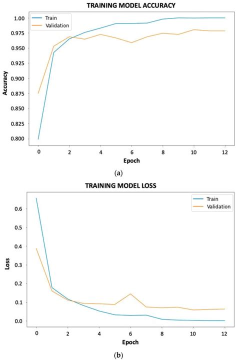 Deep Learning-Based Method for Classification and Ripeness Assessment ...