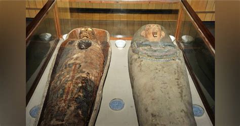 Mummy in Kolkata | পুজোর আগেই কলকাতার নতুন চমক! শহরে চালু হবে নয়া ...