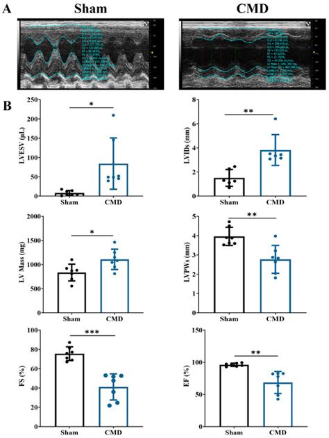 Metabolic and Proteomic Profiling of Coronary Microvascular Dysfunction ...