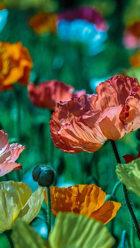 Image result for Spring Flower Nail Tutorials