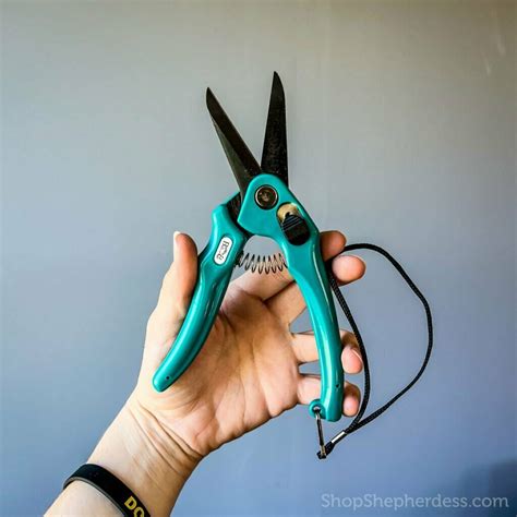 Sheep Care 的图像结果