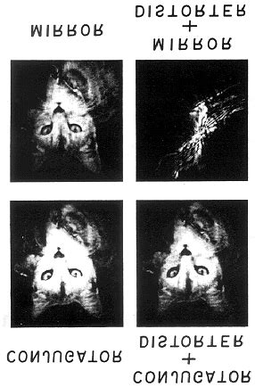 Image result for Decentering Distortion Example