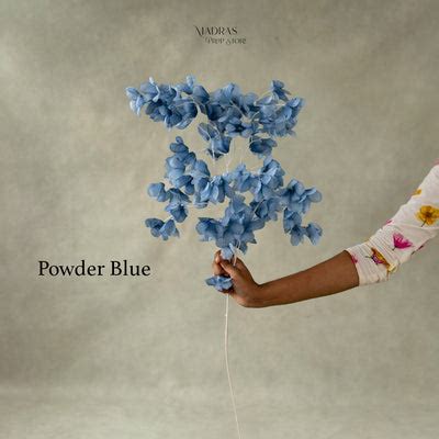 Shower Stick – Madras Prop Store