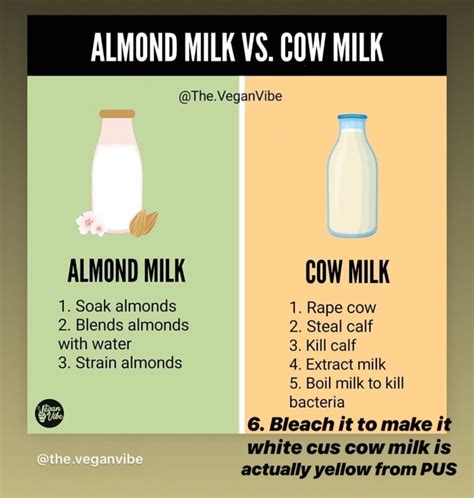 Soy Milk Vs Almond Nutrition Facts | Besto Blog