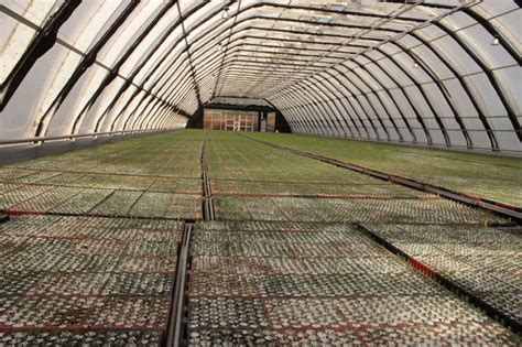 Welcome to Indira Gandhi National Forest Association, Dehradun