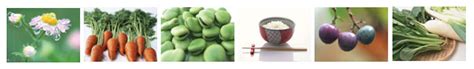 Image result for Alien-Looking Crab