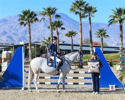 Official Photographer | Desert International Horse Park