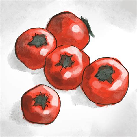 How to Storyboard Examples 的图像结果