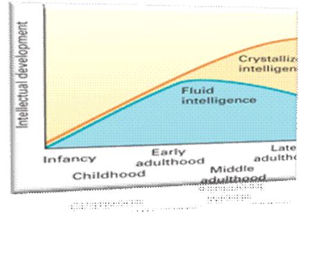 Unit 5: Transitions into Adulthood