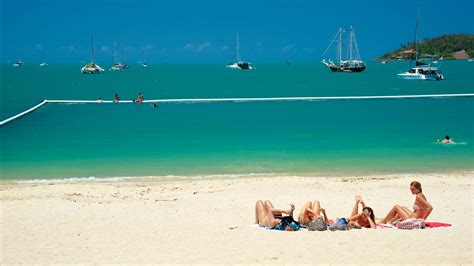 Boathaven Beach, Airlie Beach holiday accommodation: holiday houses ...