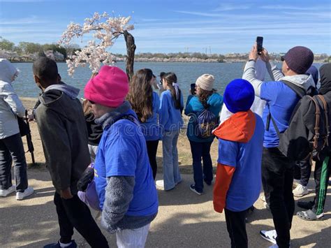 Image result for Stumpy Washington DC