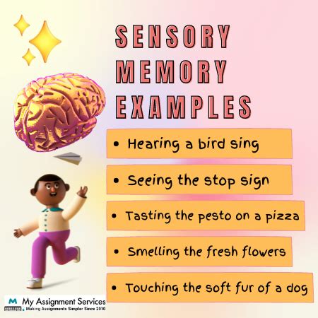 Image result for Sensory Memory Example