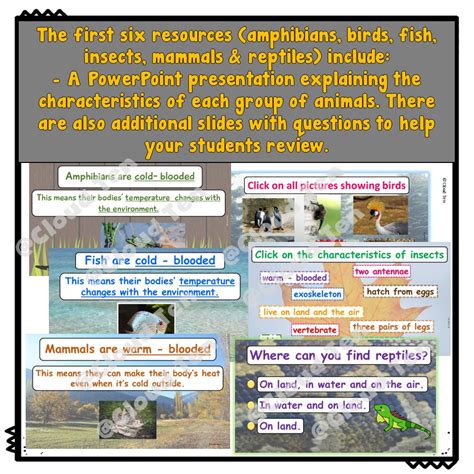 First Grade Science 的图像结果