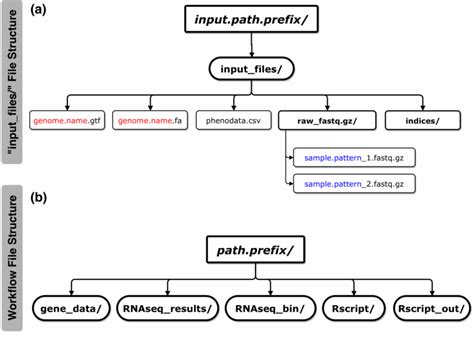 Image result for Overleaf Input Directory Structure
