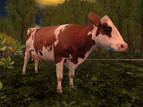 Image result for Second Life Scripting Animals