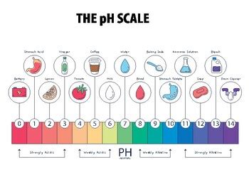 PH Scale Explained 的图像结果