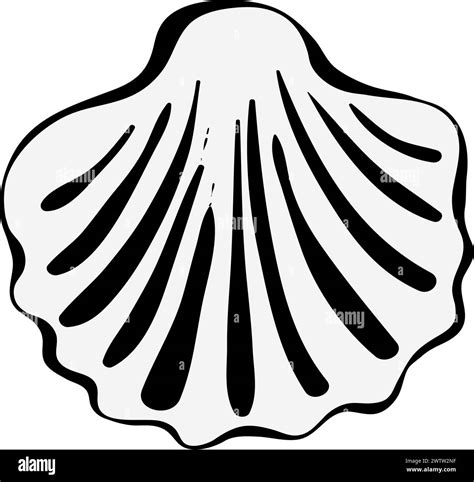 Image result for Shell Background Drawing