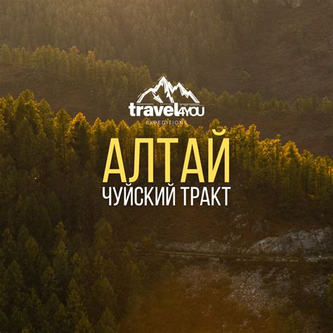 Туры в Алтай купить 👉 Забронировать тур с TRAVEL4YOU