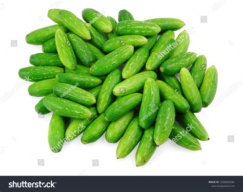 Tindora: Over 1,326 Royalty-Free Licensable Stock Photos | Shutterstock