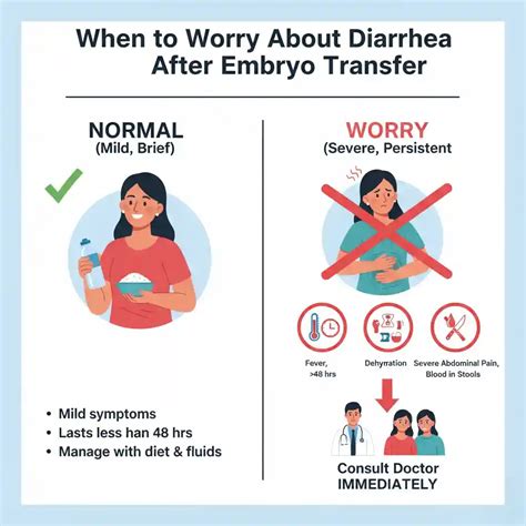 Diarrhea After Embryo Transfer: Normal or Risk?