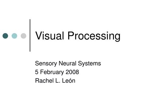 Visual Processing Examples 的图像结果