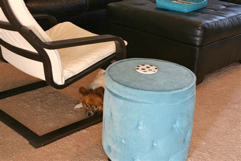 Clean Home 的图像结果