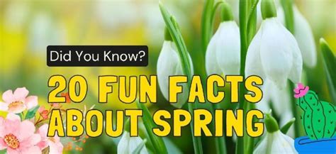 Image result for Weird Spring Facts