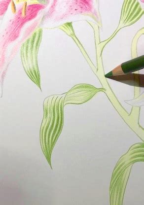 Image result for Computer Graphics Reflection Models