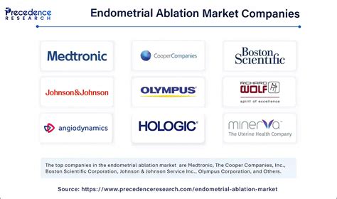 Endometrial Ablation Market Size To Worth USD 2.15 Bn By 2034