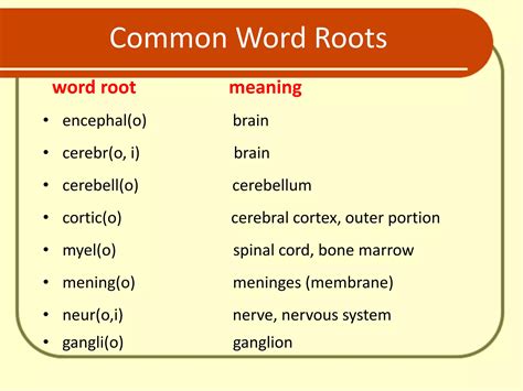 nervous system terminology .pdf