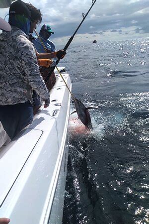 Sport Fish Panama Island Lodge (Boca Chica) - 2022 What to Know Before ...