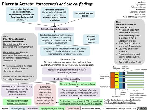 Placenta Accreta: Pathogenesis and clinical findings | Calgary Guide