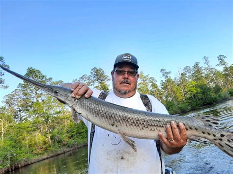 David "Heavy" Charles Robinson Obituary - Brackney Funeral Service